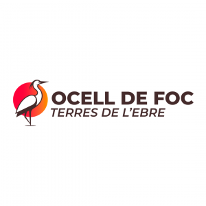 Presentació del programa Ocell de Foc i taller desconstruïm l’èxit